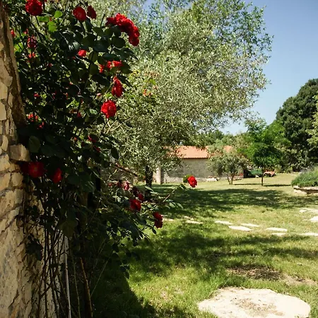 Guest house Tranquil Getaway With Shared Pool In Bale